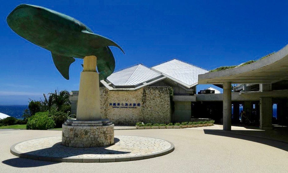 美ら海水族館　混雑　口コミ