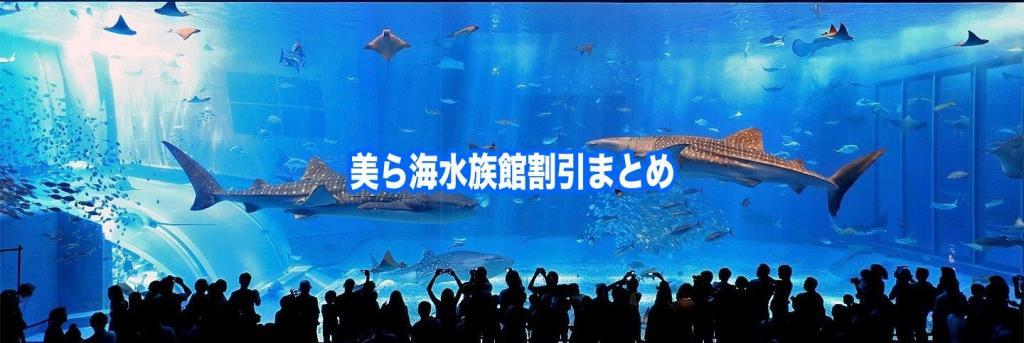 【美ら海水族館水族館割引2024】最安値料金の入場料は？14クーポン格安入手法