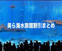 美ら海水族館　割引