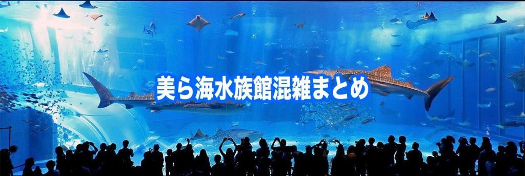 【美ら海水族館混雑状況2024】春夏冬休み(GWお盆)&平日と土日！割引クーポン情報