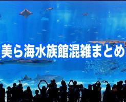 美ら海水族館　混雑