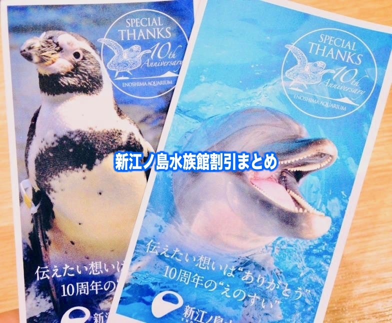 【新江ノ島水族館割引】2024年えのすいクーポン券は？チケット料金(半額)11選を調査