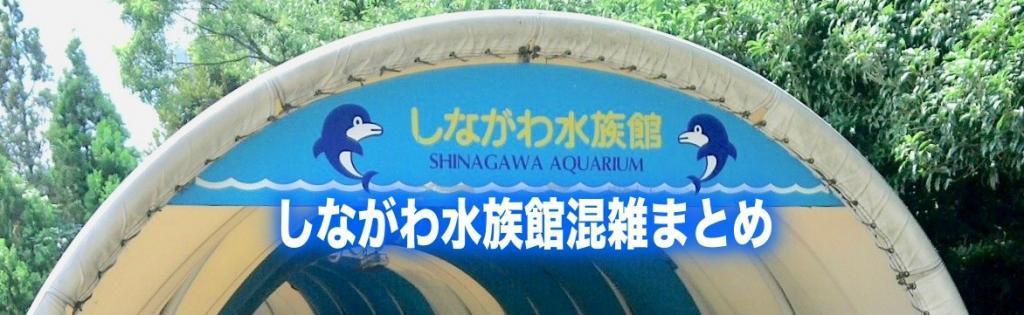 しながわ水族館　混雑