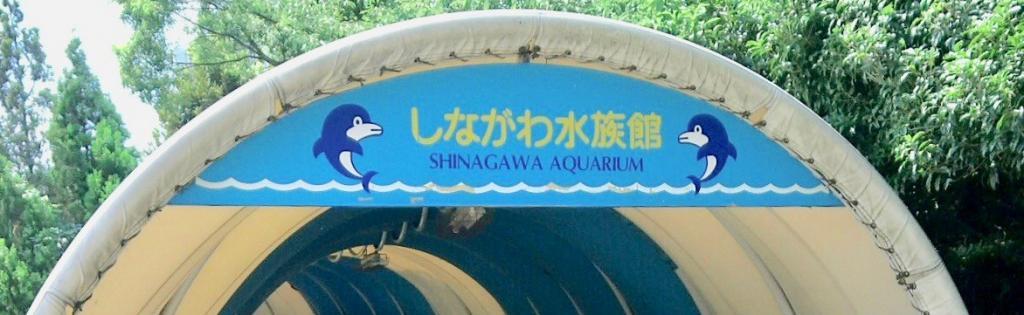 しながわ水族館