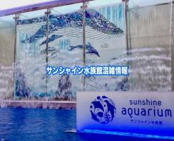 サンシャイン水族館　混雑