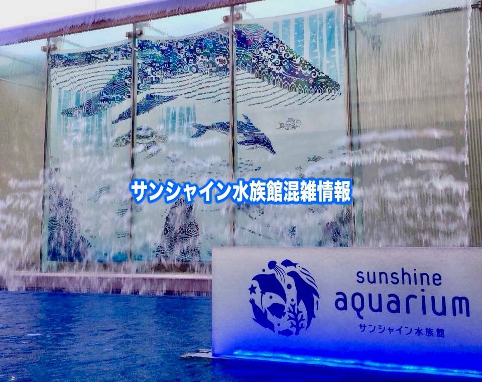 【サンシャイン水族館混雑状況2024】春夏休み(GWお盆)&平日と土日の混雑回避