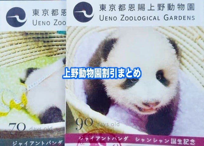 【上野動物園割引クーポン2024】無料開園日&料金を安く行く方法5選！駐車場情報