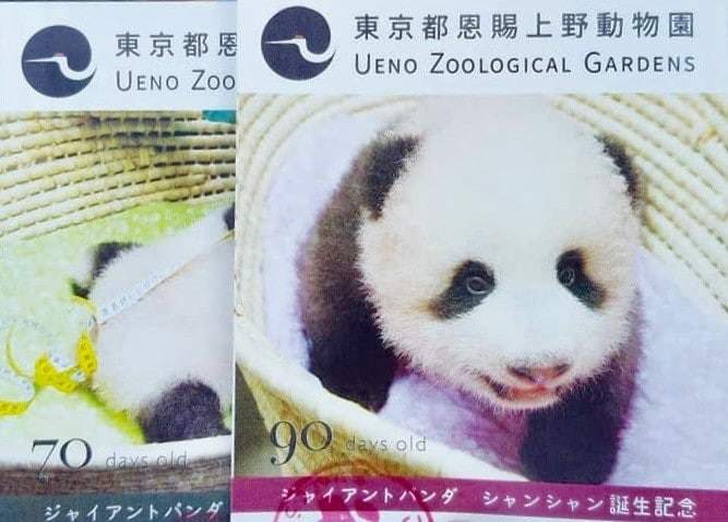 上野動物園　割引