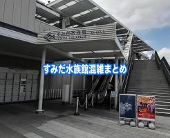 すみだ水族館　混雑