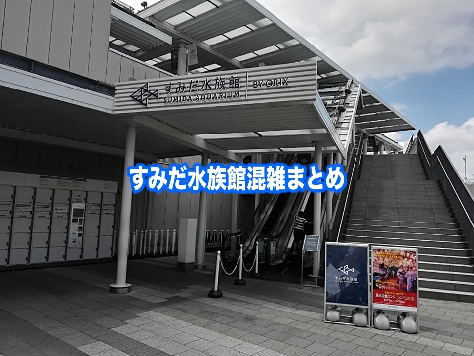 【すみだ水族館混雑予想2024】春夏休み(GWお盆)&今から平日と土日！割引クーポン情報