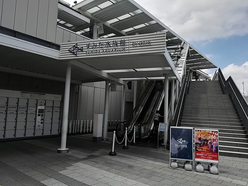 すみだ水族館　混雑