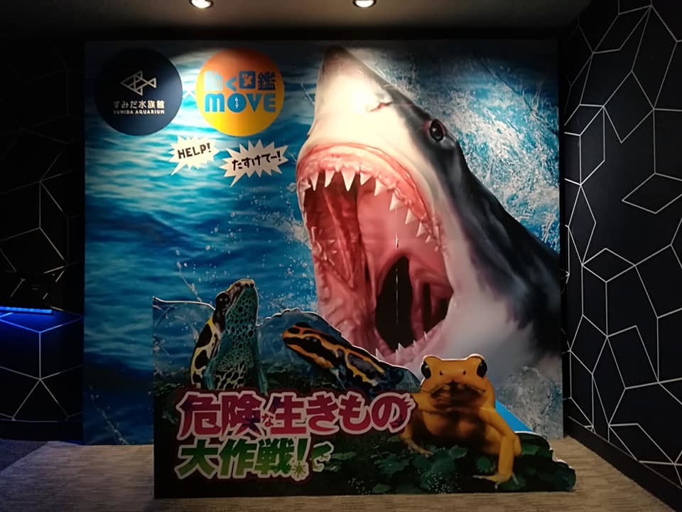 すみだ水族館　危険生きもの混雑