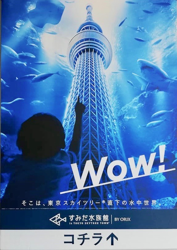 すみだ水族館　割引