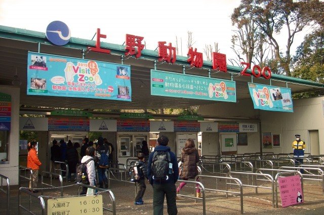 国立科学博物館　上野動物園　混雑