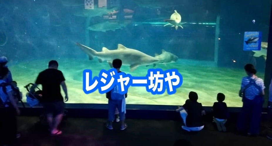 大洗水族館　割引