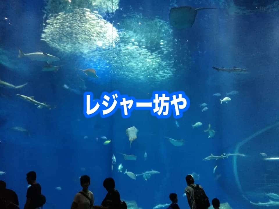 大洗水族館　混雑