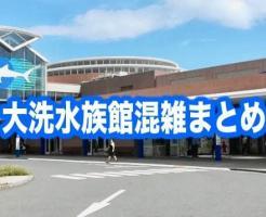 大洗水族館　混雑