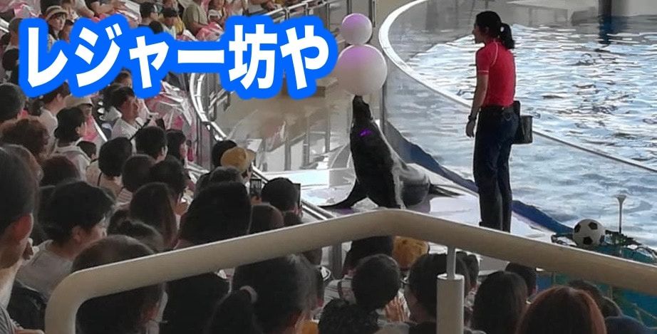 大洗水族館　割引