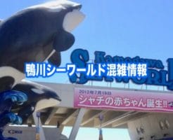 鴨川シーワールド　混雑