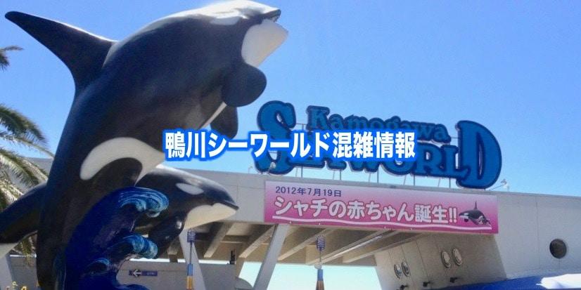 【鴨川シーワールド混雑予想2024】春夏休み(GWお盆)&平日と土日！駐車場の混雑回避