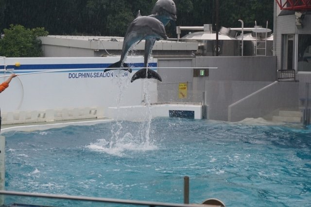 しながわ水族館