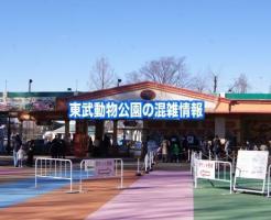 東武動物公園　混雑