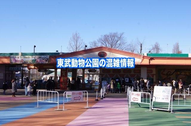 【東武動物公園混雑予想2024】春夏休み(GWお盆)&駐車場とアトラクションの待ち時間