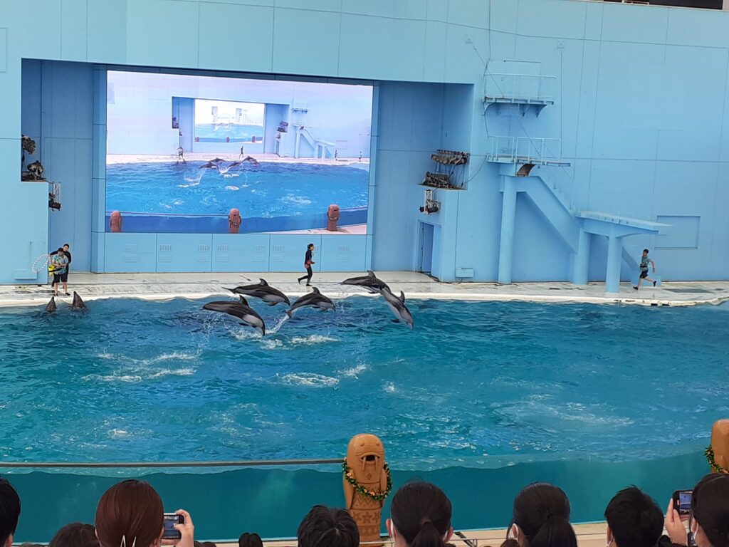 八景島シーパラダイスコロナの混雑