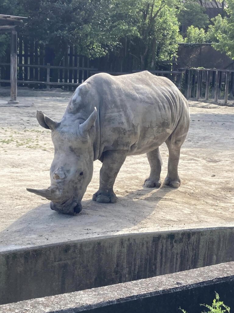 東武動物公園10月(秋ハロウィン)の混雑予想