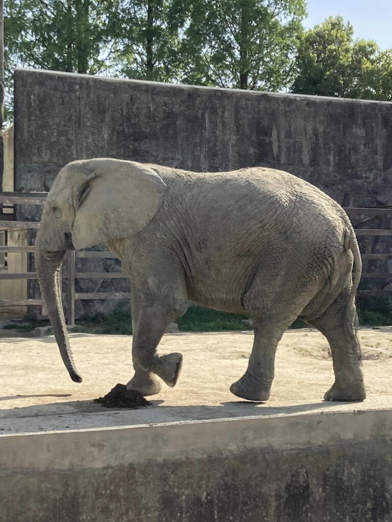 東武動物公園が混雑している時間