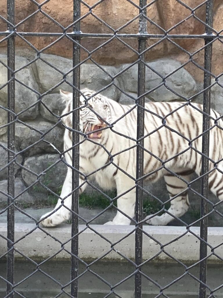 東武動物公園が空いている時期