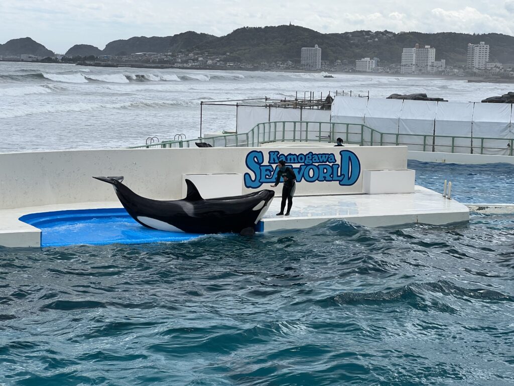 鴨川シーワールドの割引クーポン券