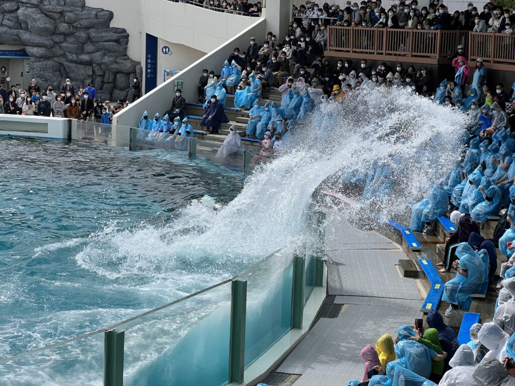 鴨川シーワールドの割引クーポン券