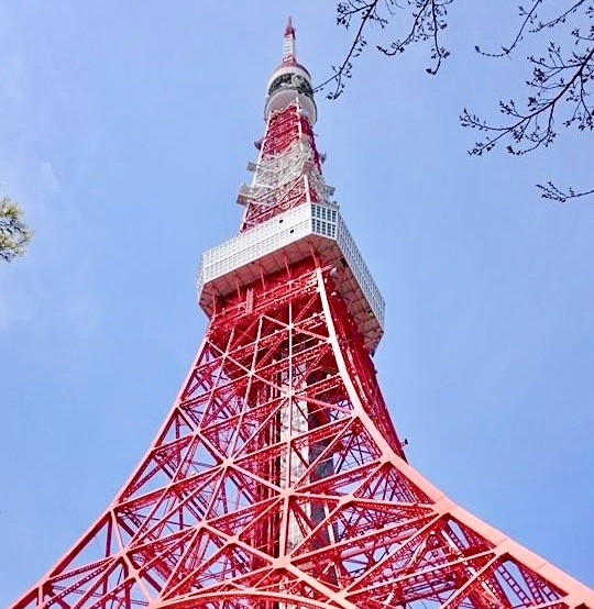 東京タワー　混雑