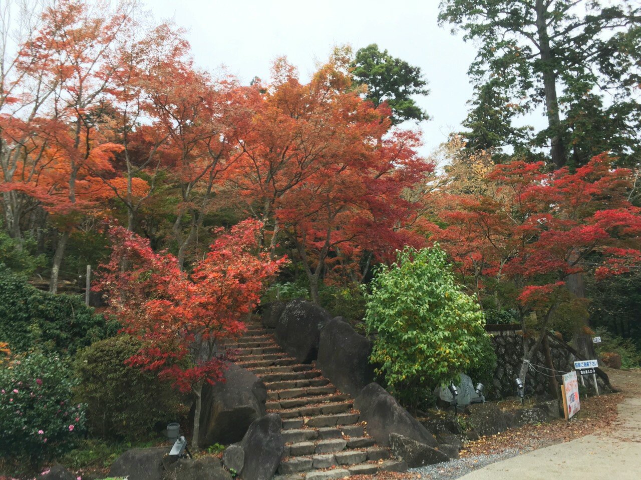 筑波山　紅葉　混雑