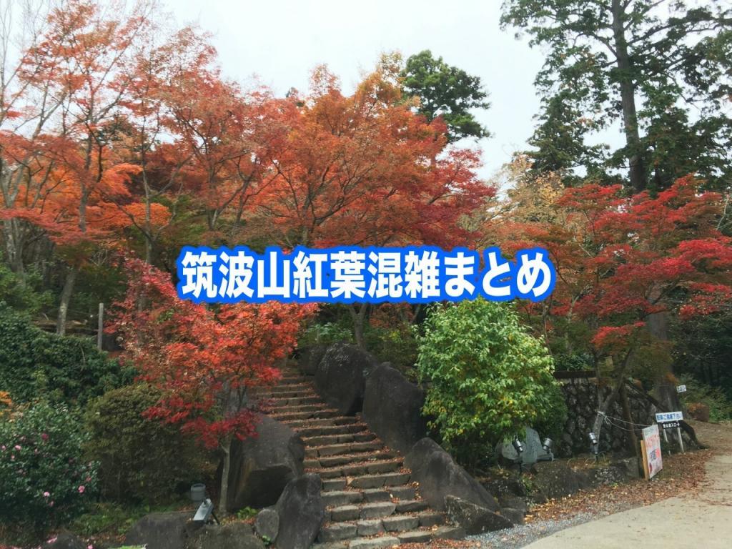 【筑波山の紅葉混雑状況2024】 平日&土日！駐車場とロープウェイ見頃の混雑回避