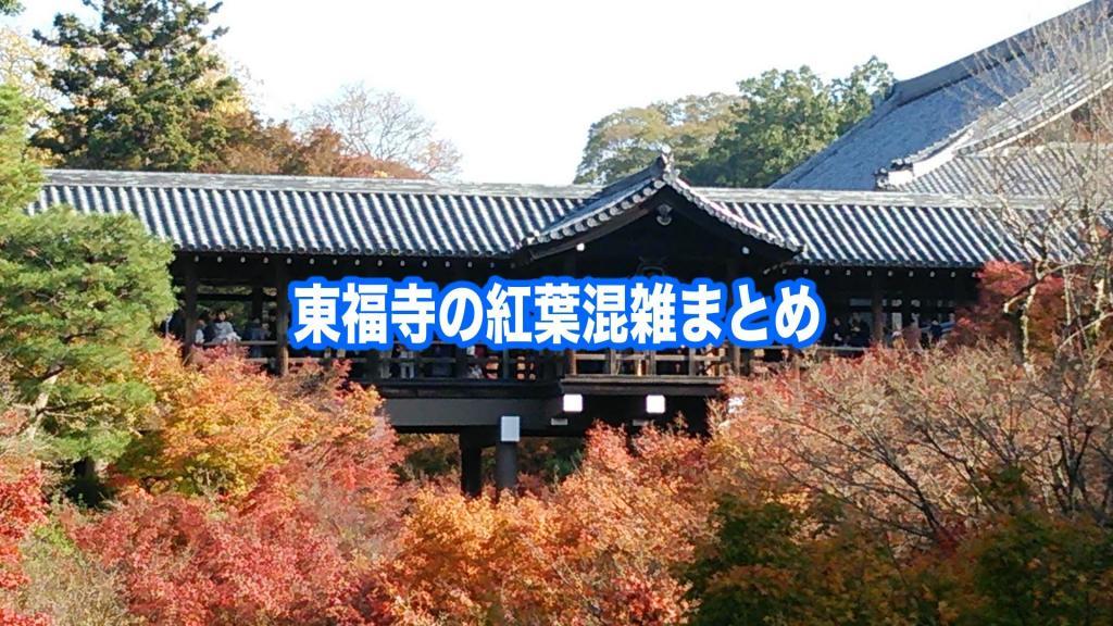 【東福寺の紅葉混雑状況2024】 平日&土日(見頃時期)！ライトアップ混雑回避