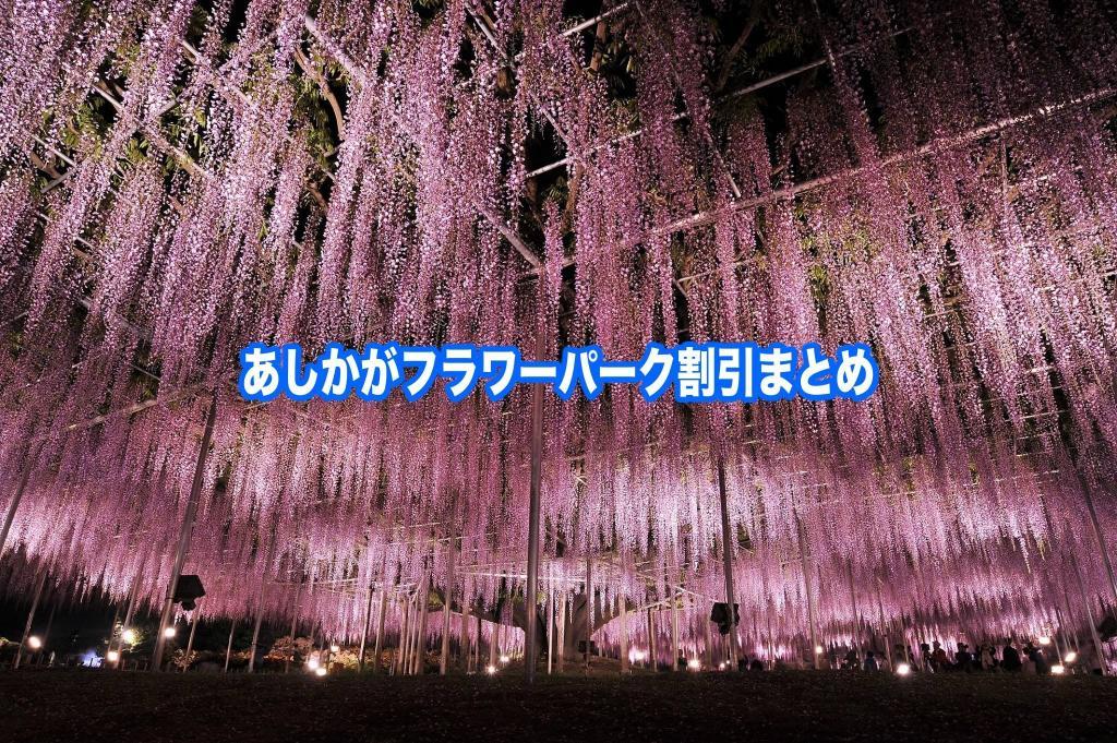 【あしかがフラワーパーク割引2024】最安値入園料は？9クーポン券格安入手法