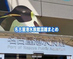 名古屋港水族館　混雑