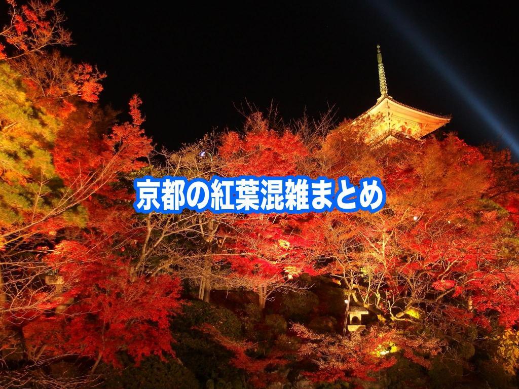 【京都の紅葉混雑状況2024】 平日・土日(見頃時期)！車と自電車混雑回避法