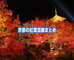 京都　紅葉　混雑