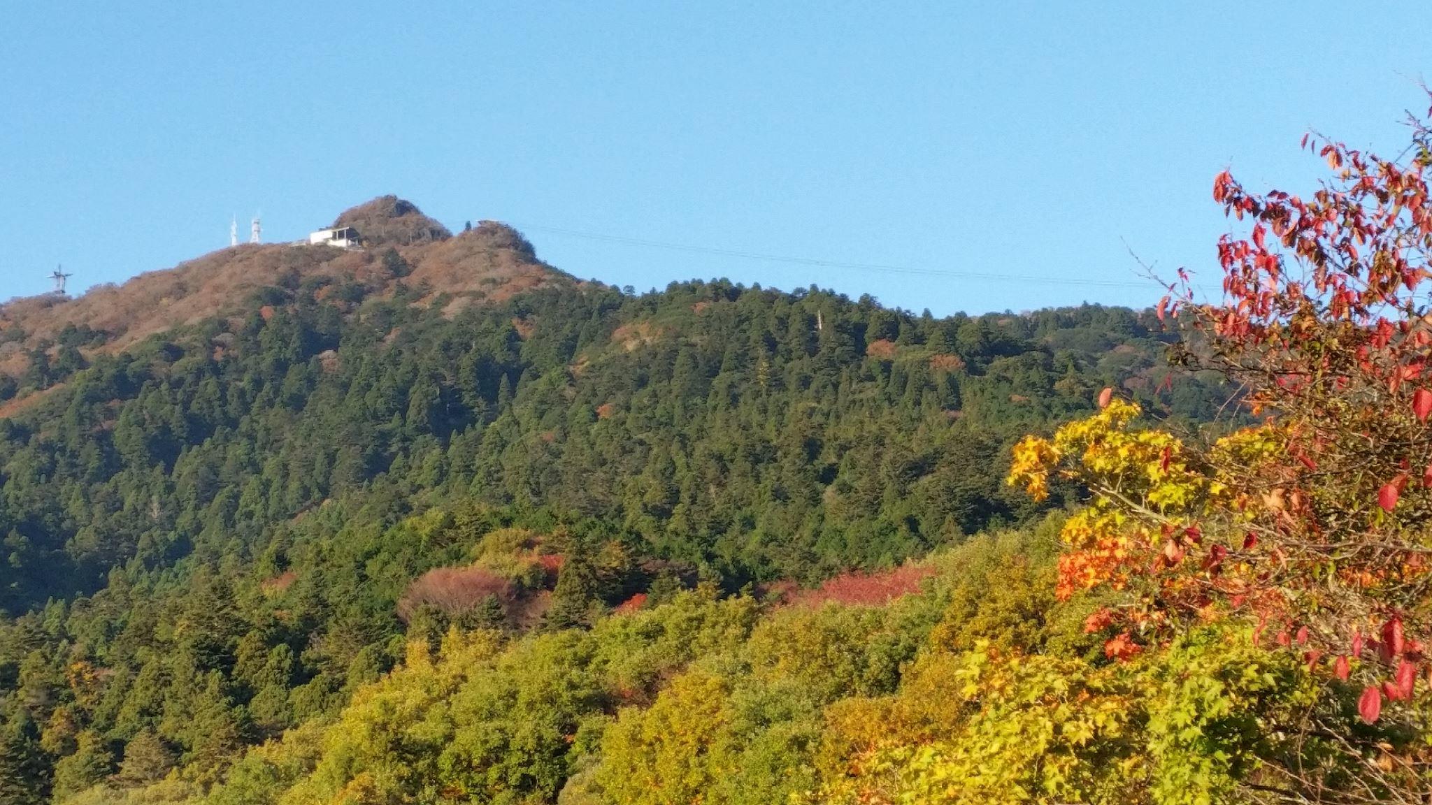 筑波山　紅葉　混雑