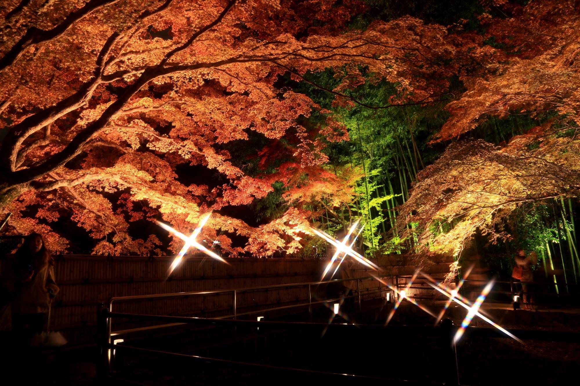 京都　紅葉　混雑