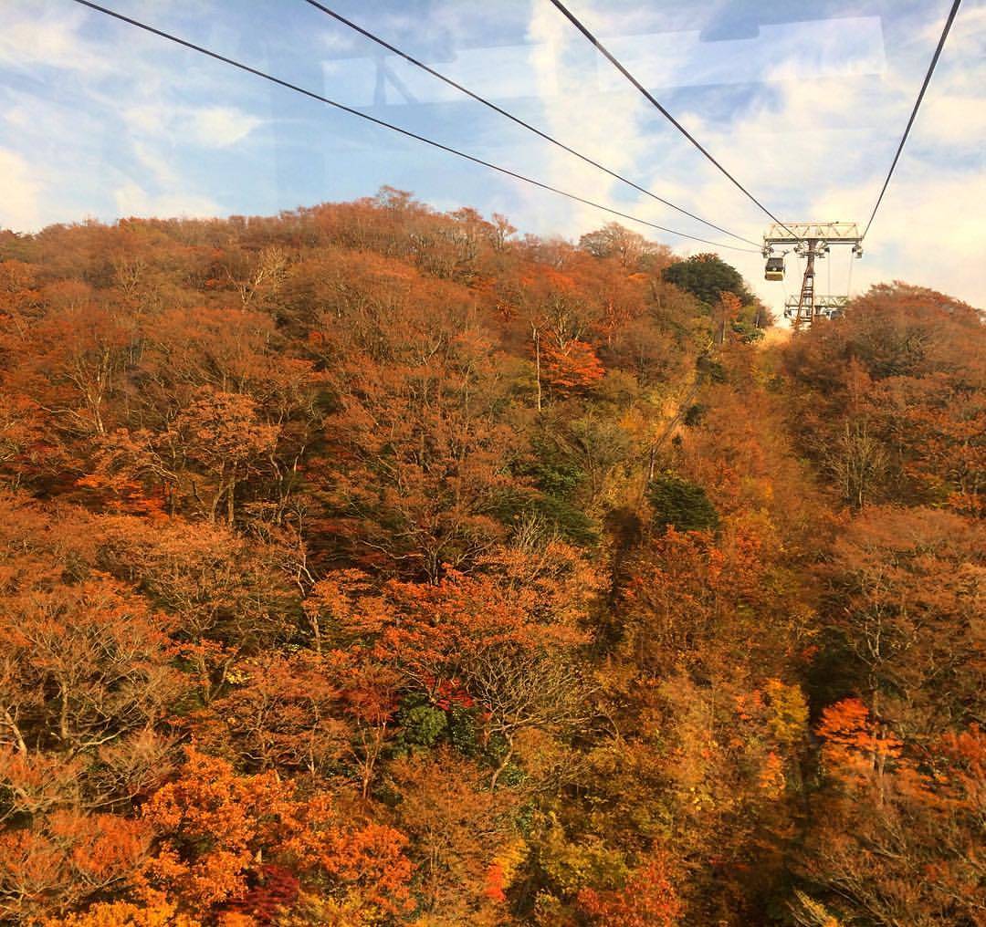 箱根　紅葉　混雑　ケーブルカー 