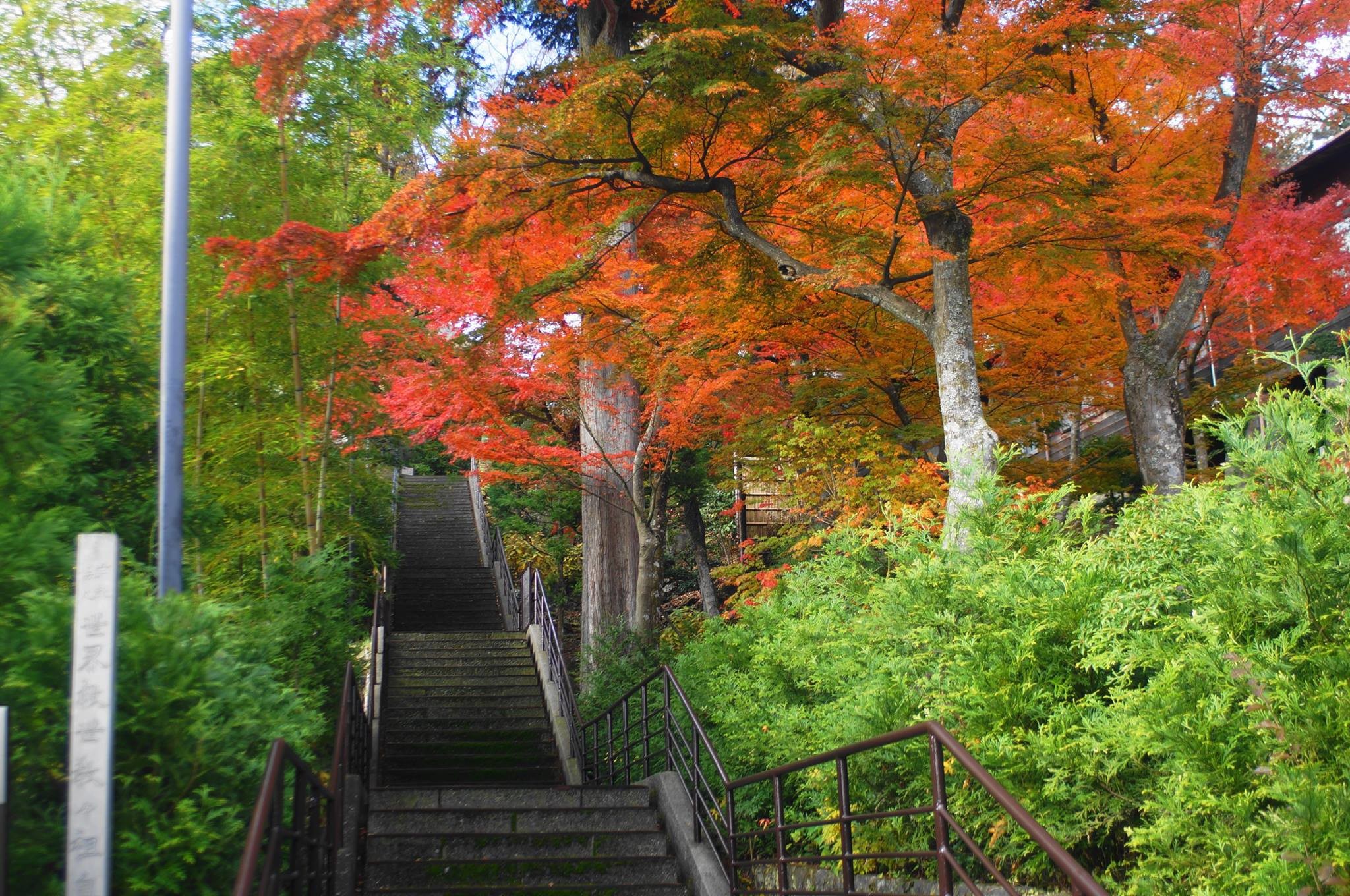 箱根美術館　紅葉　混雑