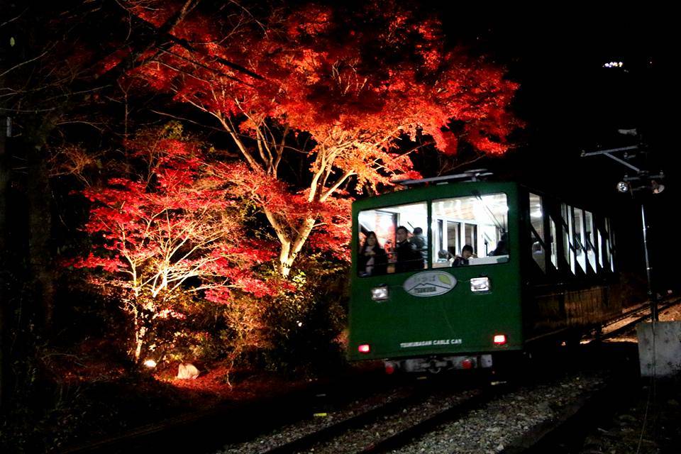 高尾山　紅葉　混雑　筑波山