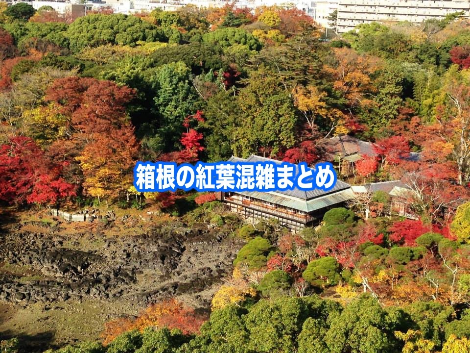 【箱根の紅葉混雑状況2024】 平日・土日(見頃時期)！車と電車&ロープウェイ混雑回避