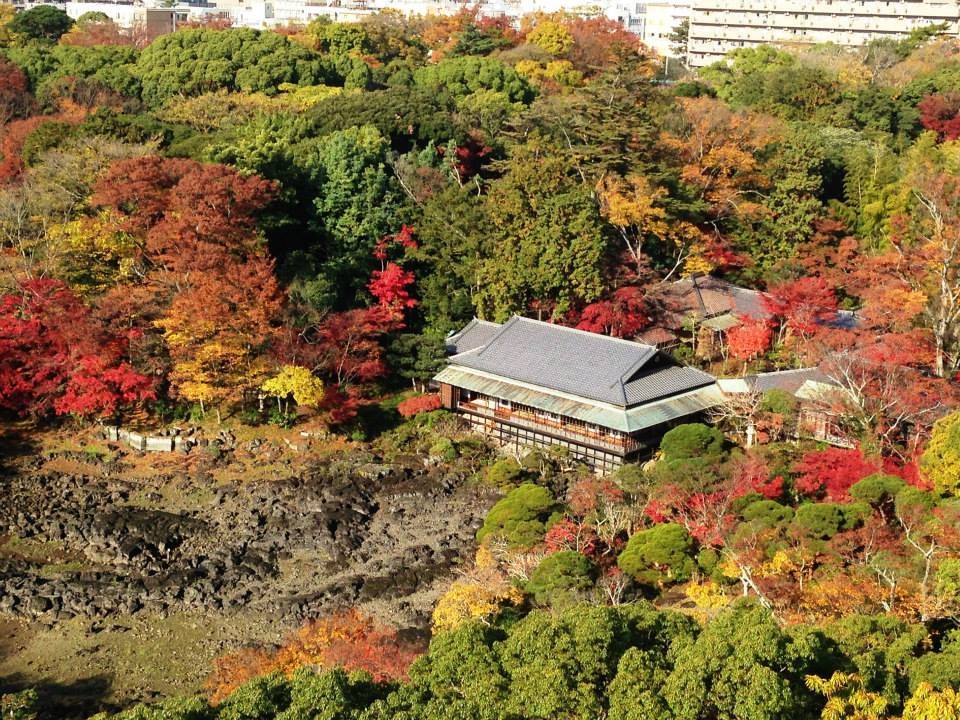 ユネッサン　箱根　紅葉　混雑