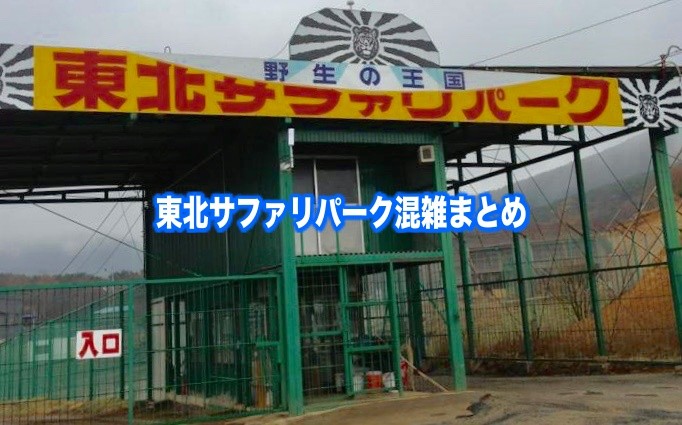 【東北サファリパーク混雑状況2024】春夏冬休み(GWお盆) &平日と土日！駐車場攻略