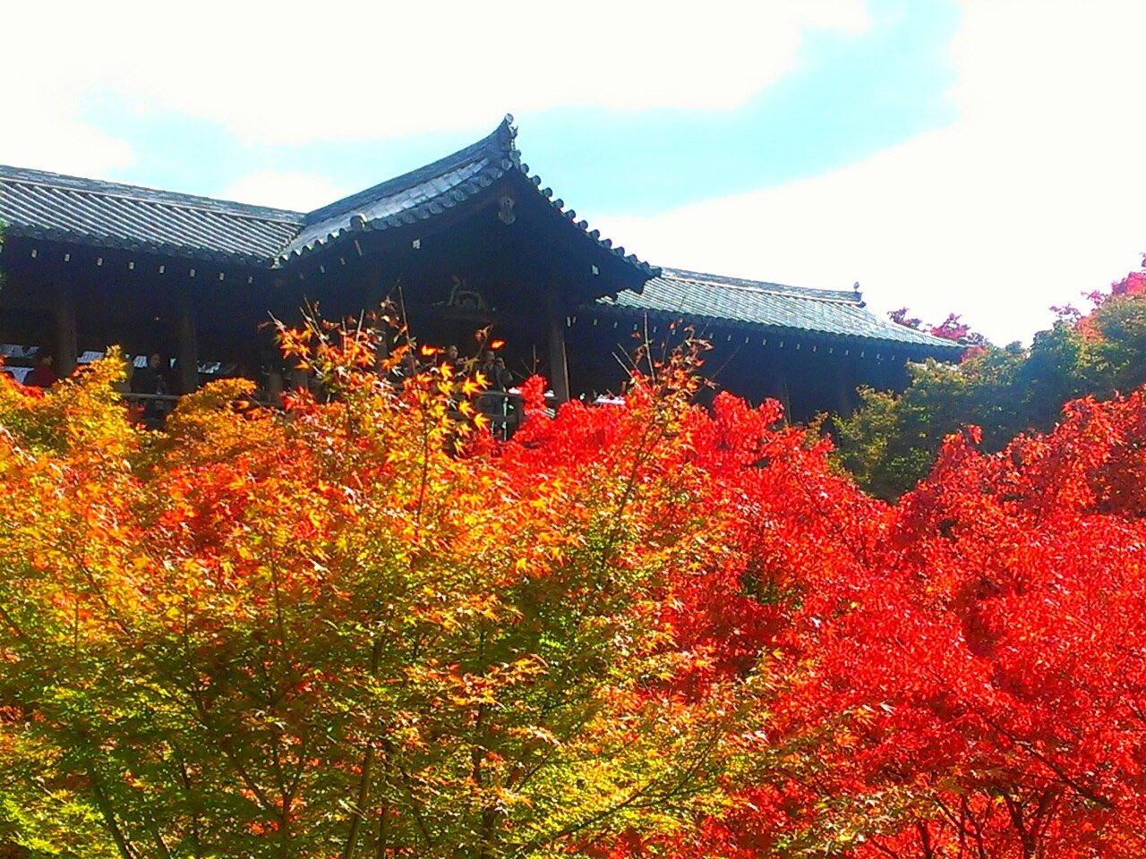 龍安寺　東福寺　混雑